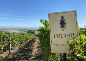 Fuligni's famous San Giovanni Vineyard  Photo Credit Fuligni